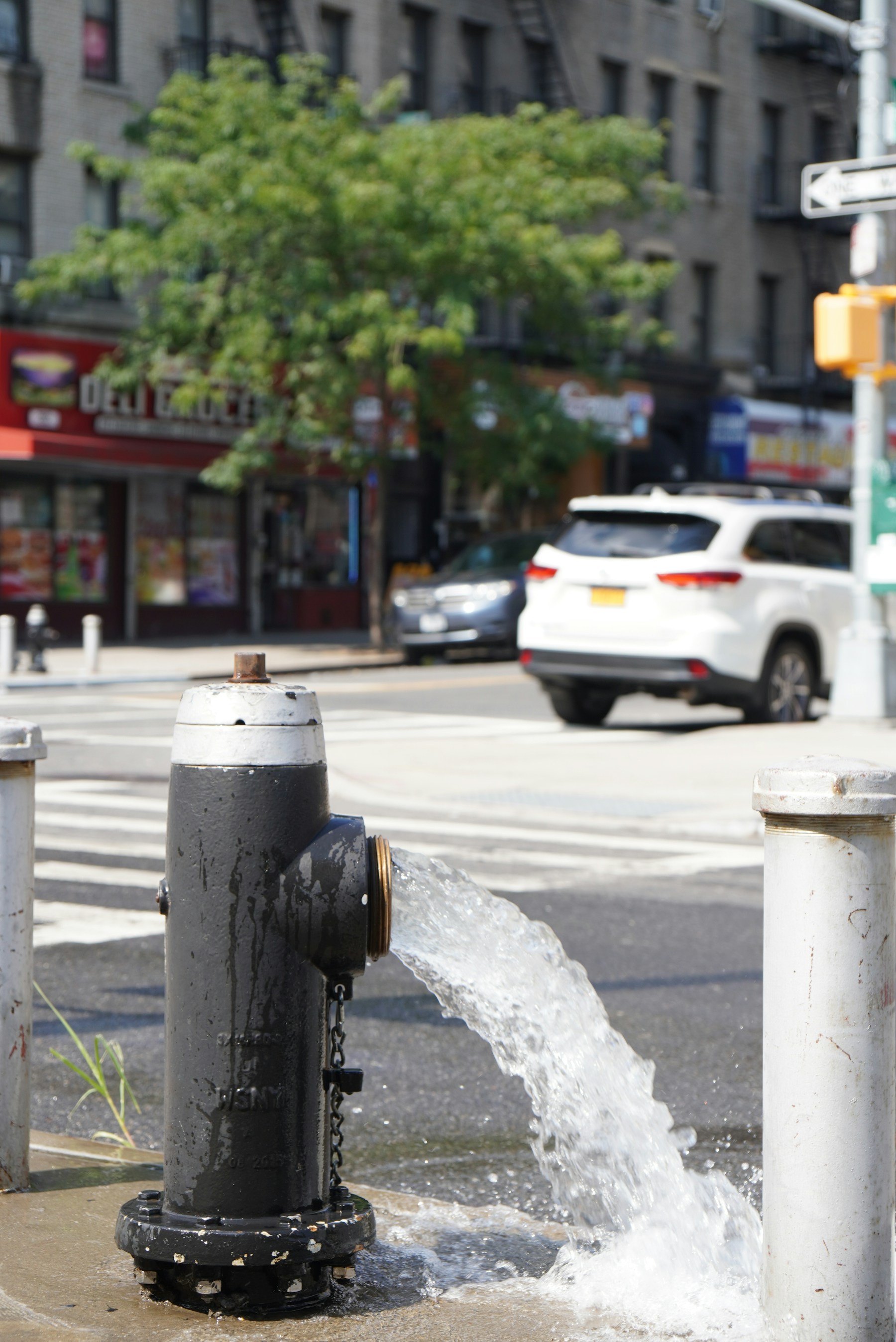 Fire hydrant system